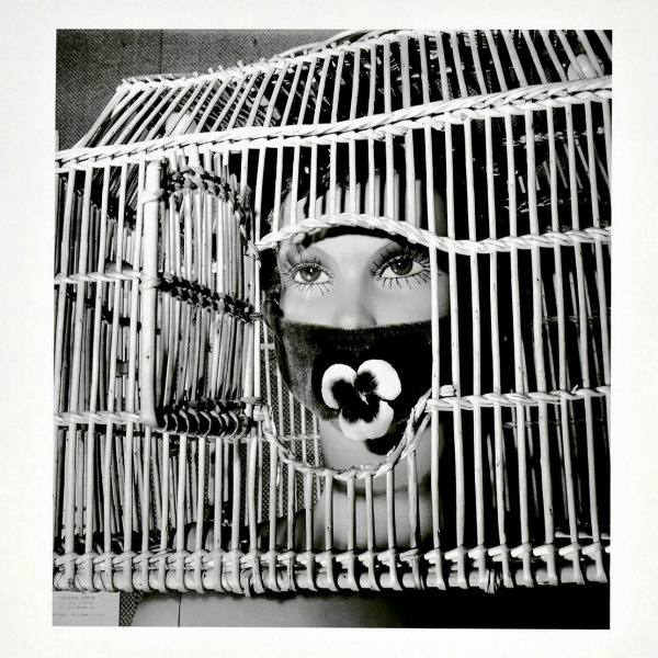 Сон после сюрреализма Сон после сюрреализма