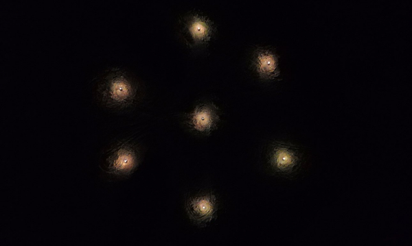 В научном кубометре расцвела болотная кассандра