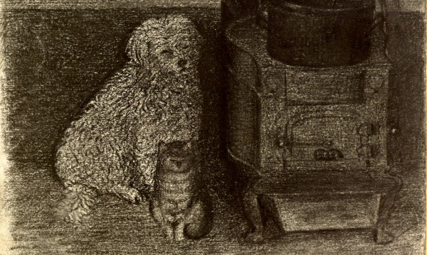 Собаки со всех точек зрения