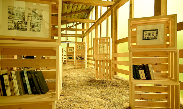 Один парк для двоих Бродских: в Веретьеве открылась новая часть инсталляции на болоте