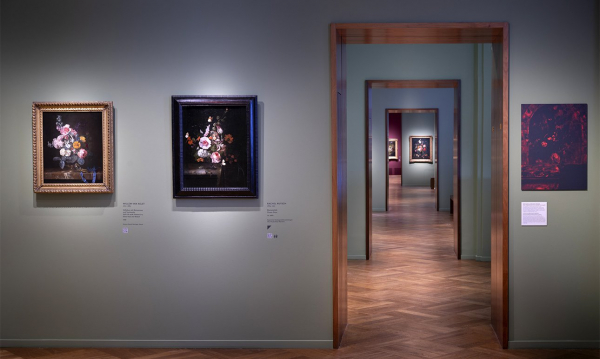 Рашель Рюйш: триумф биоразнообразия Рашель Рюйш: триумф биоразнообразия