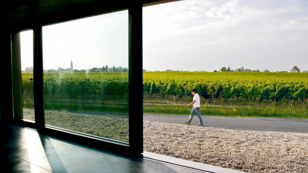 Рембрандт, Уайет, Пистолетто и другие: что покажут на The ART Film Festival