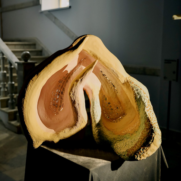 Чувашия обретает крылья на биеннале современного искусства Чувашия обретает крылья на биеннале современного искусства