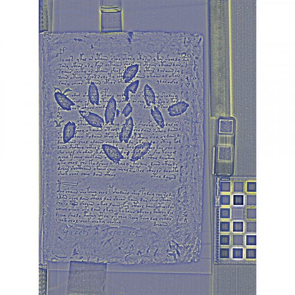 На манускрипте Войнича обнаружились следы расшифровки XVII века На манускрипте Войнича обнаружились следы расшифровки XVII века