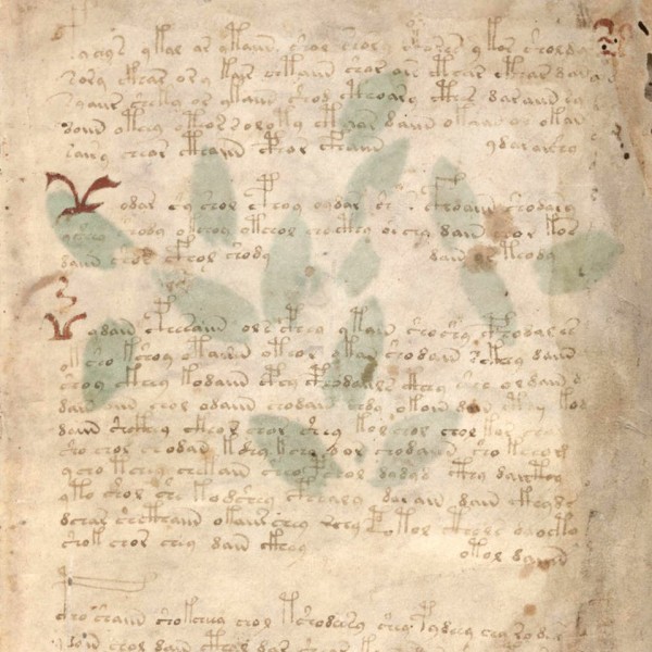 На манускрипте Войнича обнаружились следы расшифровки XVII века На манускрипте Войнича обнаружились следы расшифровки XVII века