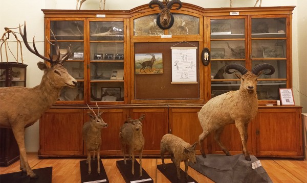 Северо-Кавказский филиал ГМИИ придал современному искусству размах