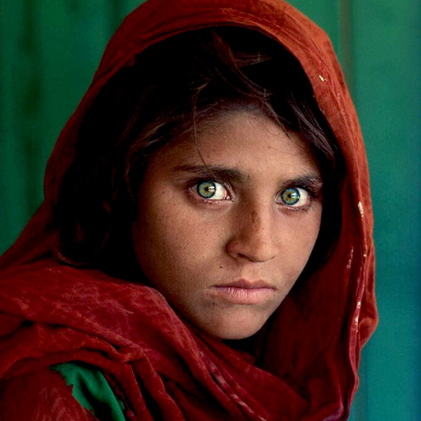 Лучшие выставки 2025 года: от китайской трапезы до Татлина