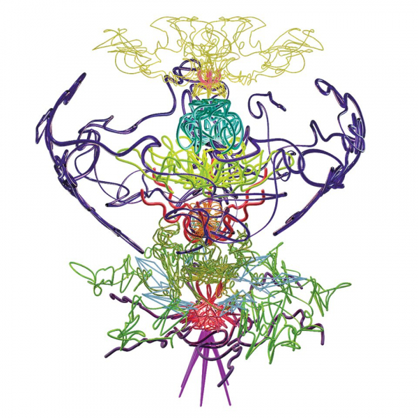Нарисованная энергия: опыты фиджитал-арта