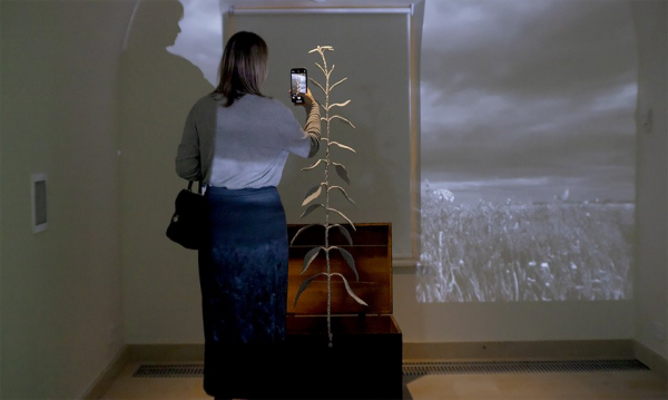 Ельцин Центр обосновался в усадьбе Долгоруковых — Бобринских