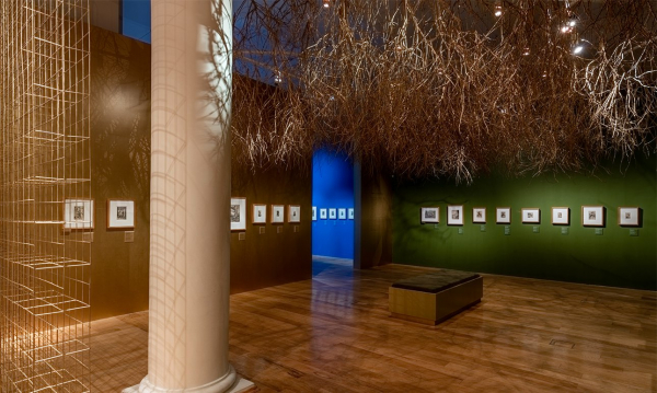 «В архитектуре впечатлений не нужно видеть только броскую визуальность»