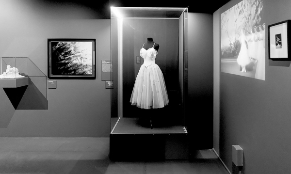 Еврейский музей приглашает гостей новой выставки на танец