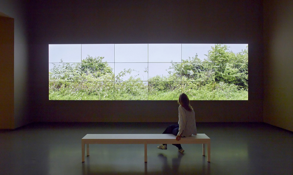 Дэвид Хокни в Фонде Louis Vuitton: художник в полемике с реальностью