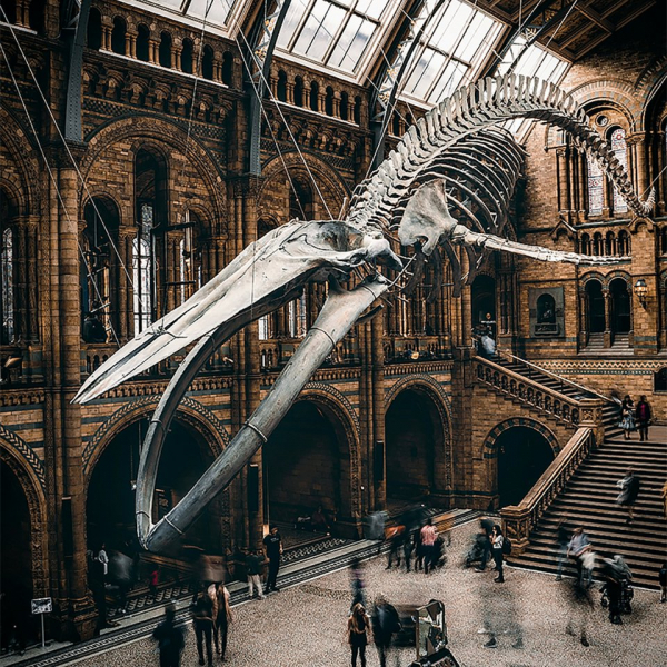 Мировые музеи балансируют между классикой, милотой и политикой