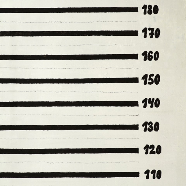 Выставка «Границы видимости»: фасеточное зрение против академических шор Выставка «Границы видимости»: фасеточное зрение против академических шор