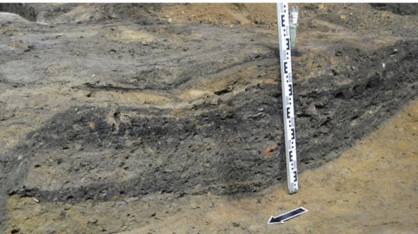 В Москве завершили реставрацию найденных археологами медных монет XVI века