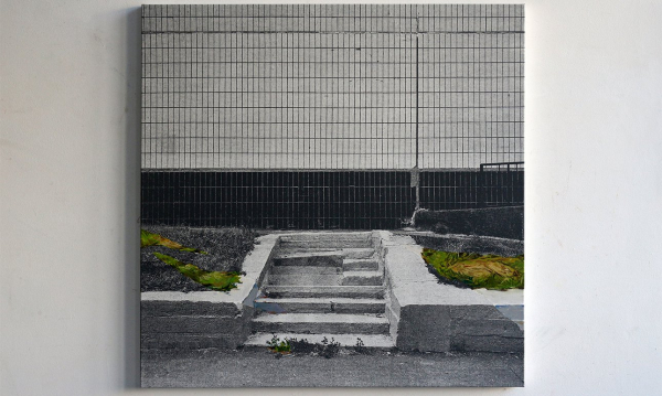 Выставка «Границы видимости»: фасеточное зрение против академических шор Выставка «Границы видимости»: фасеточное зрение против академических шор