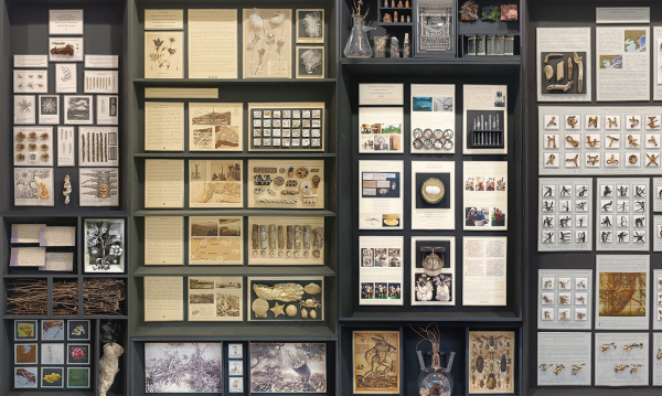 Хорошо отрепетированный институциональный экспромт