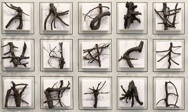 Хорошо отрепетированный институциональный экспромт