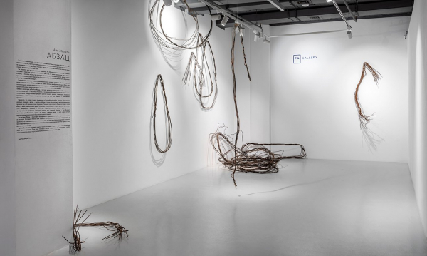 В PA Gallery проходит последняя выставка Ани Желудь