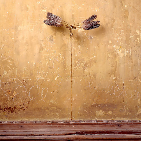 Непрерывная линия Ребекки Хорн проведена в замке Кастелло ди Риволи Непрерывная линия Ребекки Хорн проведена в замке Кастелло ди Риволи