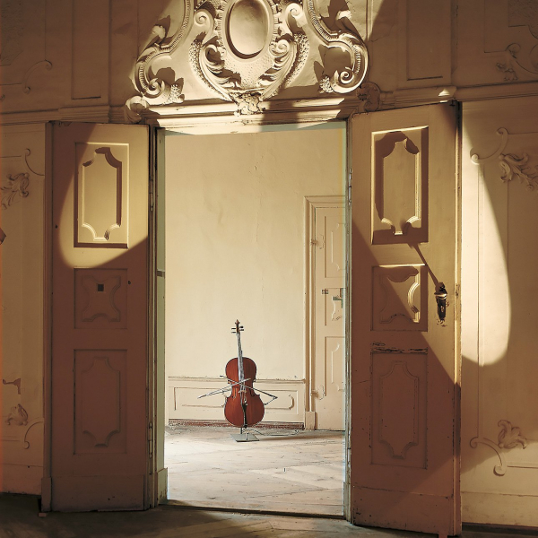 Непрерывная линия Ребекки Хорн проведена в замке Кастелло ди Риволи Непрерывная линия Ребекки Хорн проведена в замке Кастелло ди Риволи