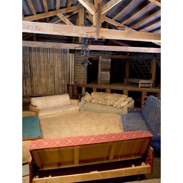 Два маршрута Горок Ленинских: погружение в доленинскую историю или лесные ванны