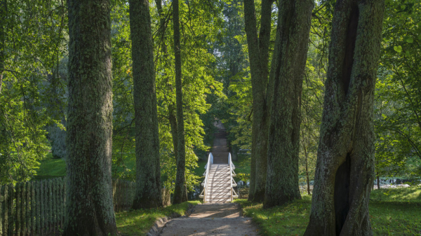В Ставрополе открылась выставка «Мавзолей аланского правителя»
