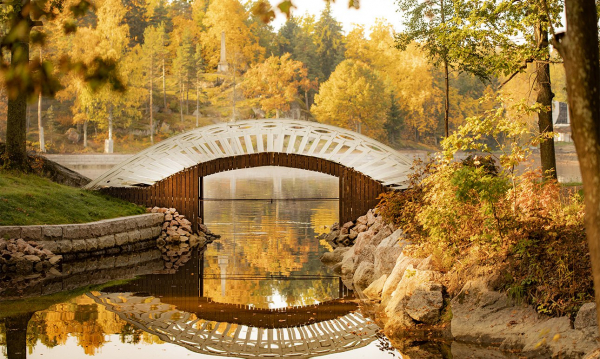 Александр Смирнов: «Парк Монрепо, в отличие от других, не перестраивался» Александр Смирнов: «Парк Монрепо, в отличие от других, не перестраивался»