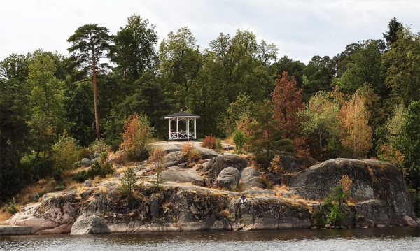 Александр Смирнов: «Парк Монрепо, в отличие от других, не перестраивался» Александр Смирнов: «Парк Монрепо, в отличие от других, не перестраивался»