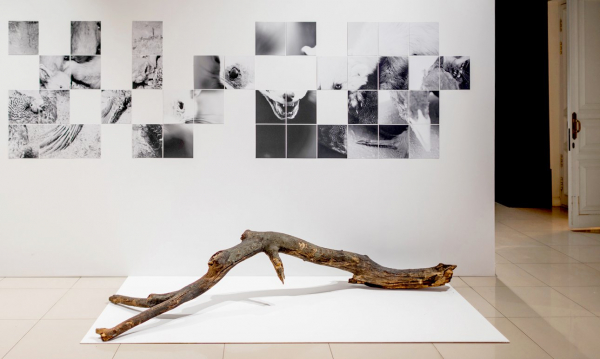 Красноярская премия сфокусировалась на кинетике и уличном искусстве Красноярская премия сфокусировалась на кинетике и уличном искусстве