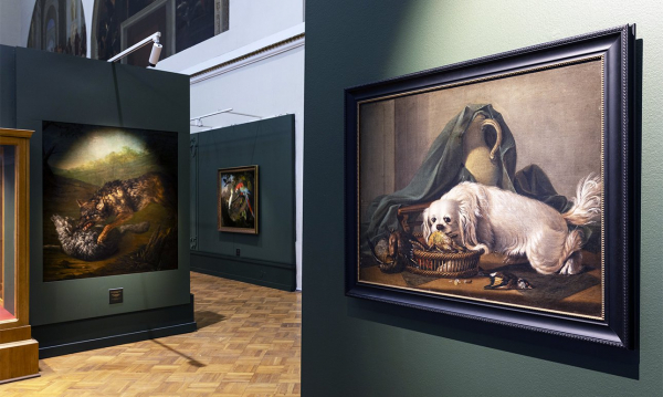 Классные занятия: на чем учились первые русские академики