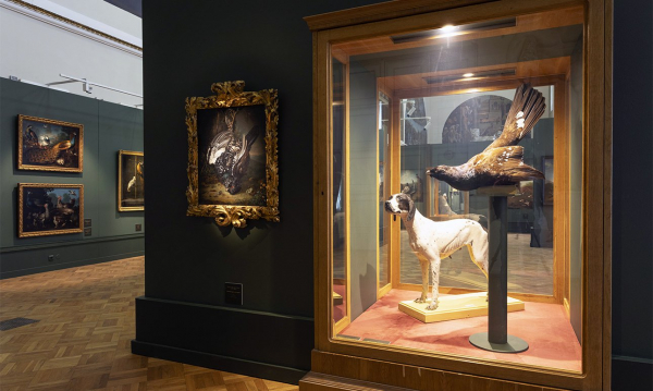 Классные занятия: на чем учились первые русские академики