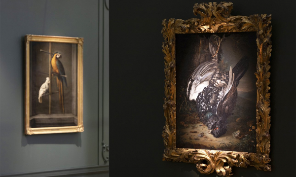 Классные занятия: на чем учились первые русские академики