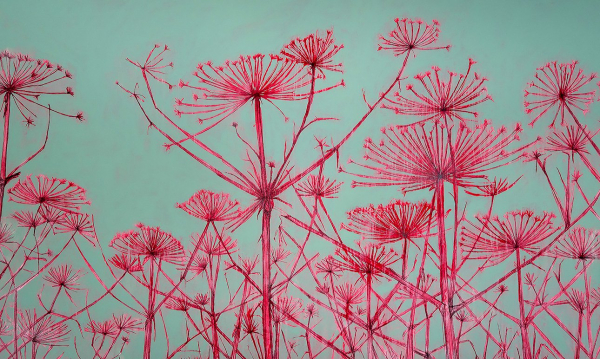 Никита Dusto: выставка в Ruarts о бесконечном круговороте