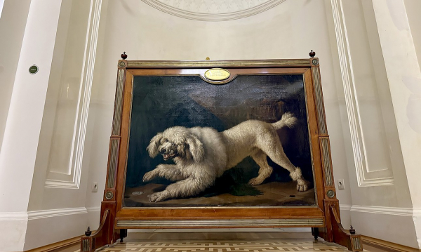 Русский музей показывает «Жизнь замечательных собак»