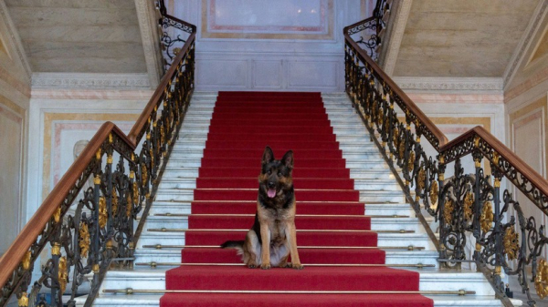 Вход в Эрмитаж возобновлён после проверки Вход в Эрмитаж возобновлён после проверки