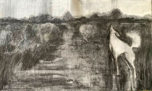 После черной полосы всегда наступает средняя После черной полосы всегда наступает средняя