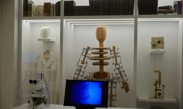 Политехнический музей показал «Колесо прогресса» Политехнический музей показал «Колесо прогресса»