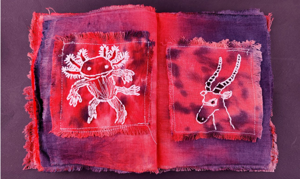 В Нижнем Новгороде показывают Красную книгу с картинками