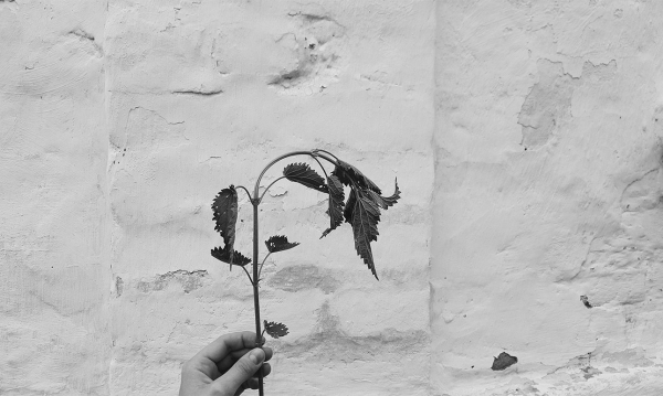 После черной полосы всегда наступает средняя После черной полосы всегда наступает средняя