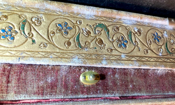 Неприхотливая белая плесень облюбовала датские музеи