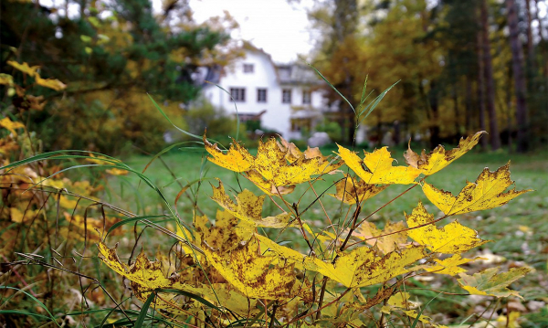 Пьяный луг, Страховское поле и Громок: идем тропой Поленова