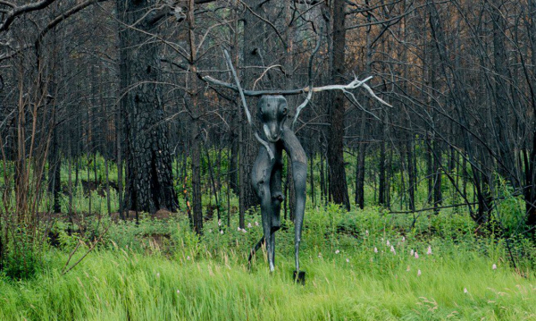 Ленд-арт-парк «Тужи» спасен в лесных пожарах