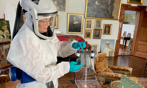 Неприхотливая белая плесень облюбовала датские музеи