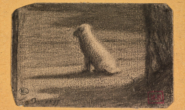 Собаки со всех точек зрения