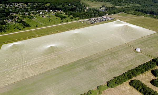 «Архстояние-2025»: «Белый город» — интерактивный музей чувств