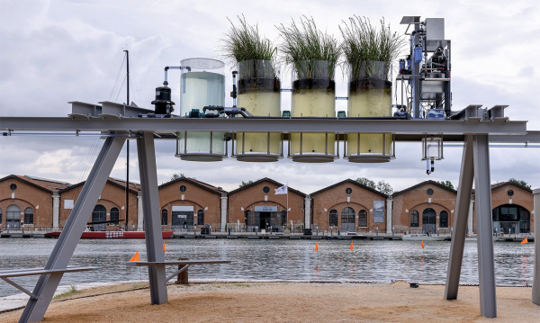 Архитектурная биеннале в Венеции: реальные проекты, а не красивые абстракции