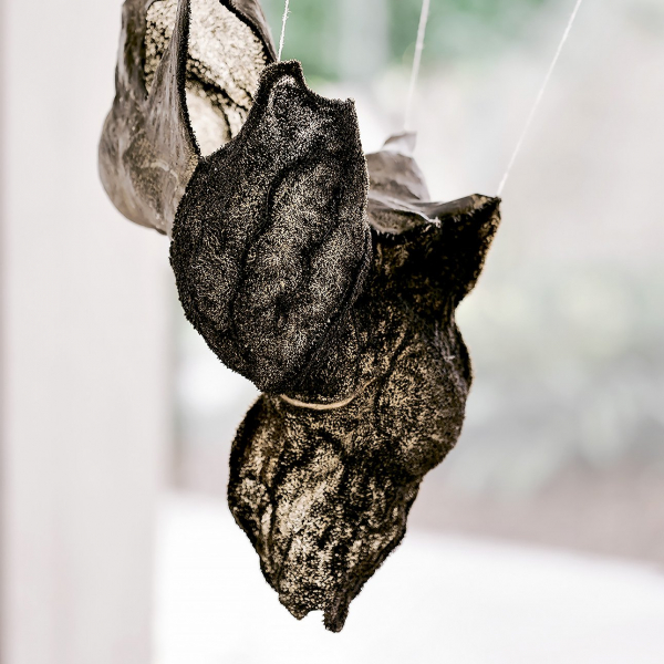 Марет Анне Сара: «Искусство стало необходимым, поскольку ничто другое не помогало»