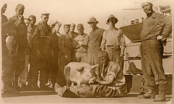 В МАММ создали мастерскую-храм и дата-центр из лозы