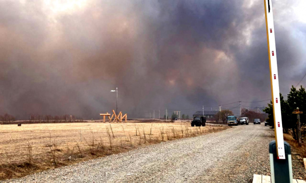 Ленд-арт-парк «Тужи» спасен в лесных пожарах